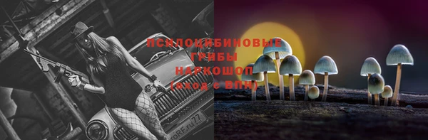 дурь Касимов