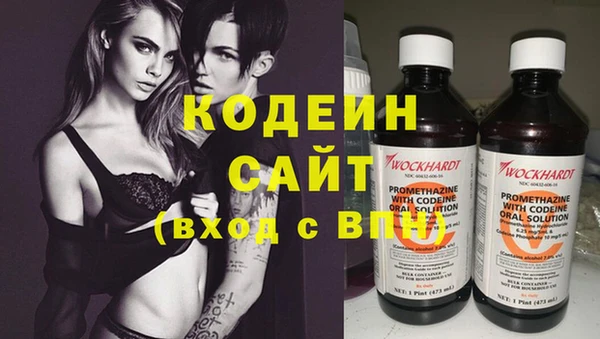 прущие грибы Кодинск