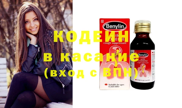 прущие грибы Кодинск