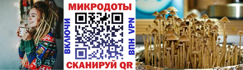 где купить наркоту  Бородино  Галлюциногенные грибы GOLDEN TEACHER 